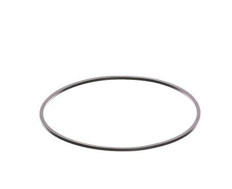 Сальник тормозного поршня 813/50012