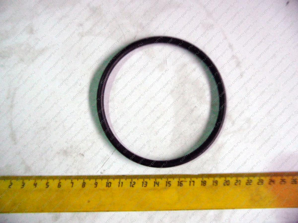 Кольцо 100-6 АМКОДОР