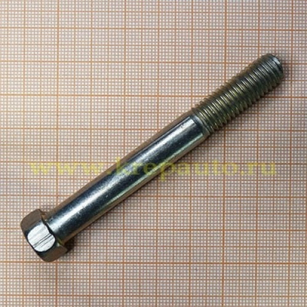 Болт М 10-80 (1,5)