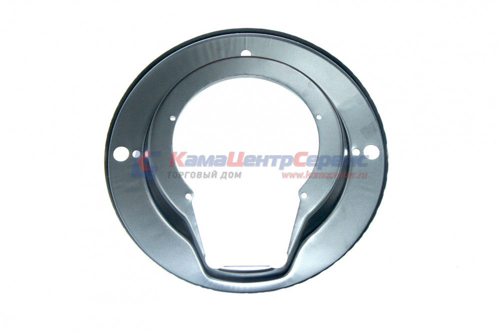 Щиток суппорта КАМАЗ-6520 / ПАО КамАЗ